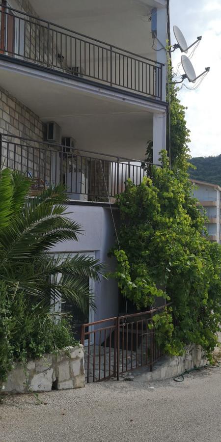 Palma Ceoce Budva